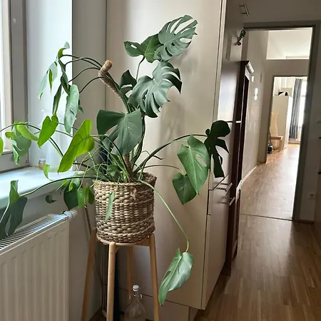Main Square Flat * Грац